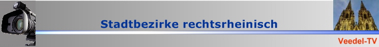 BannerVTV