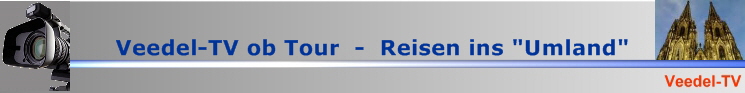 BannerVTV