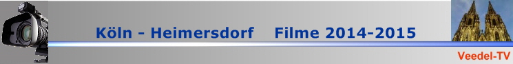 BannerVTV