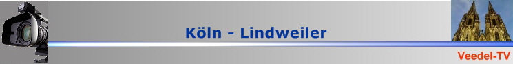 BannerVTV