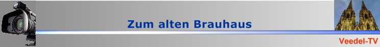 BannerVTV