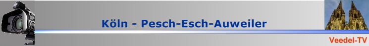 BannerVTV
